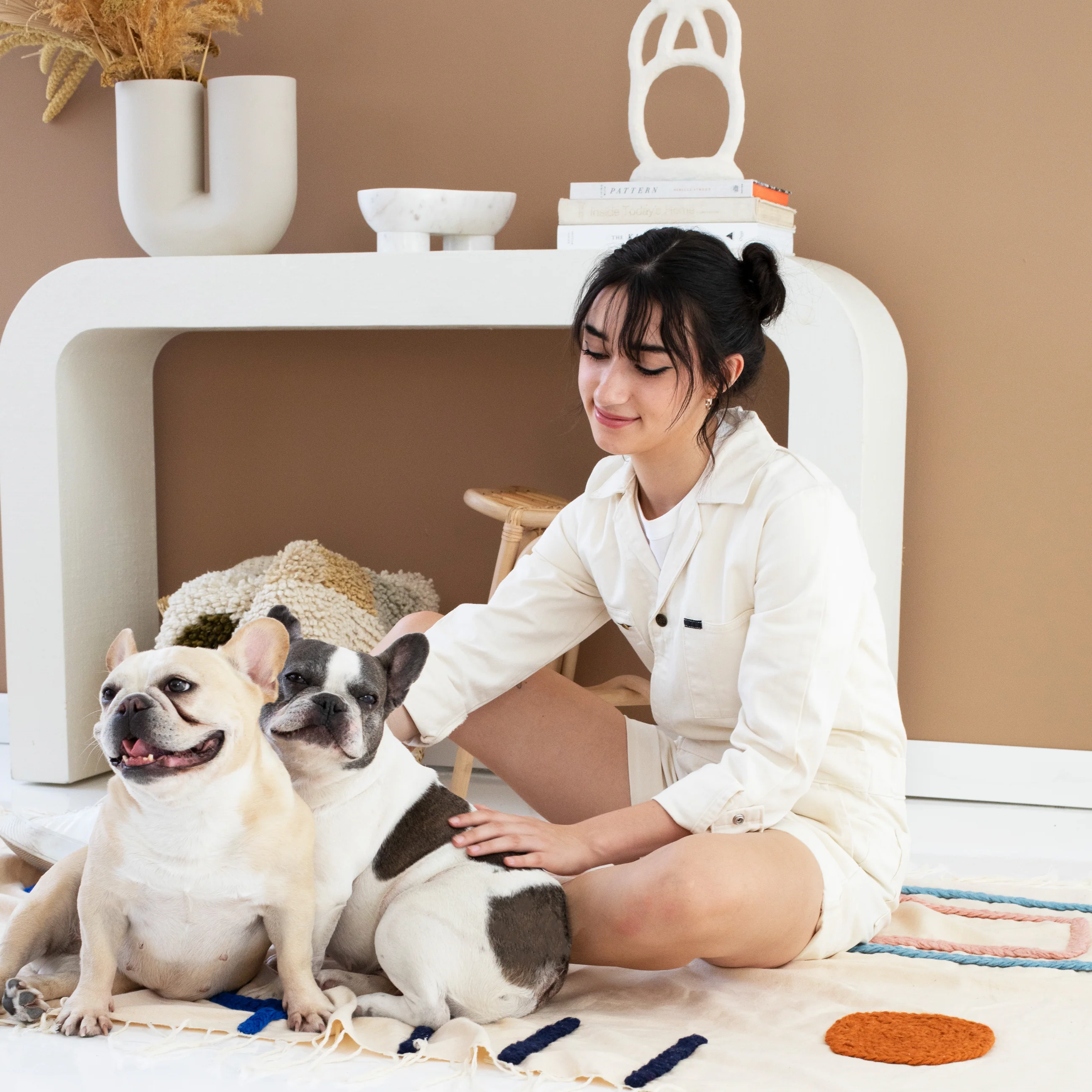 Interior + Exterior Premium House Paint - Image 4