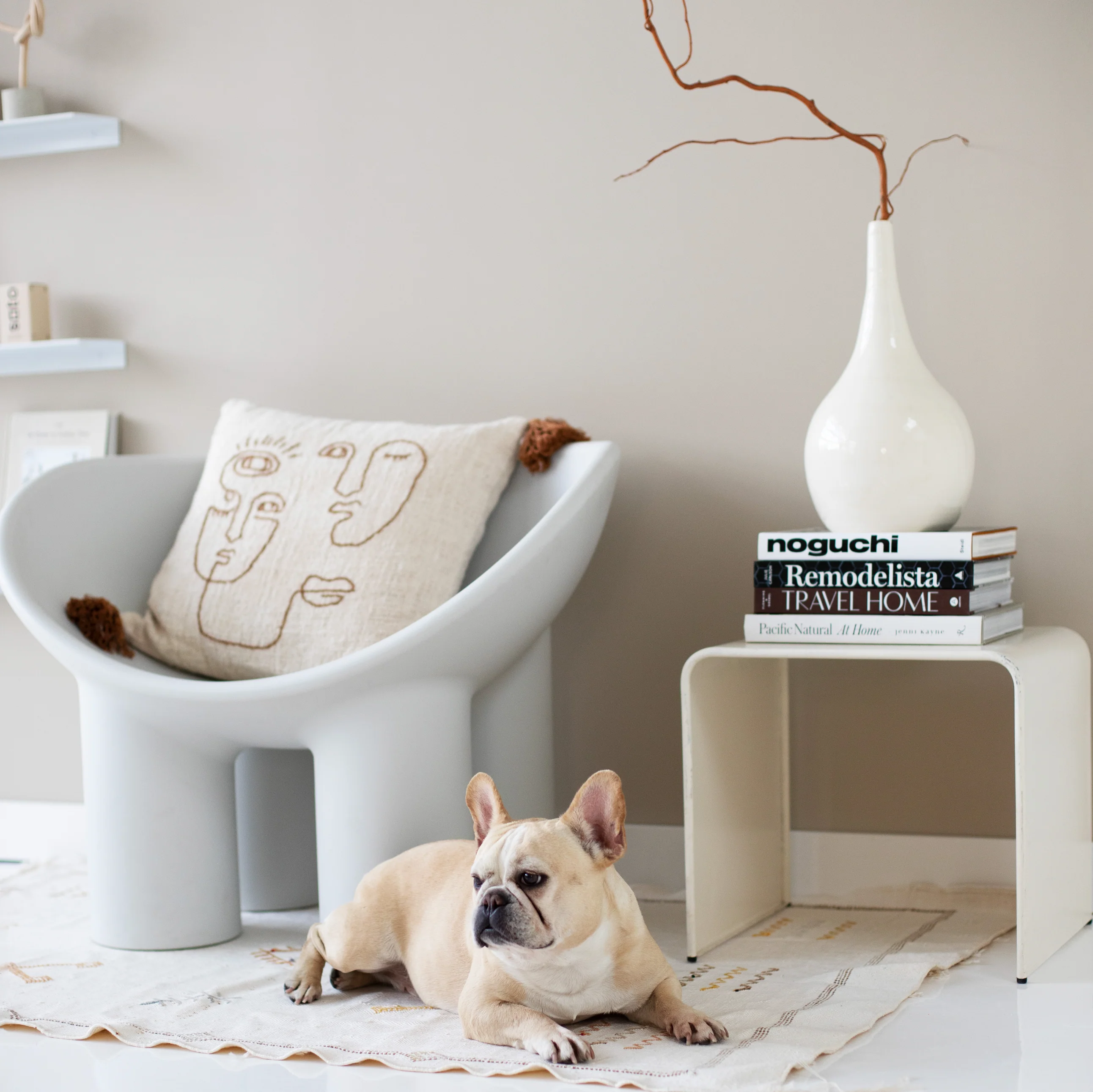 Interior + Exterior Premium House Paint - Image 5